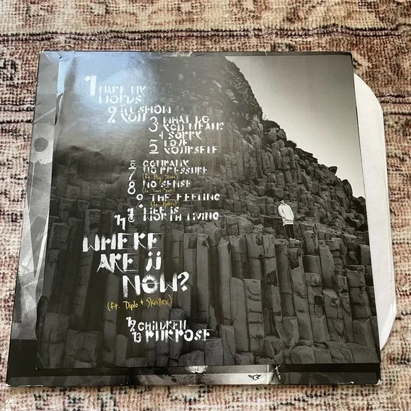 ジャスティンビーバー purpose レコード LP Justin Bieber Purpose